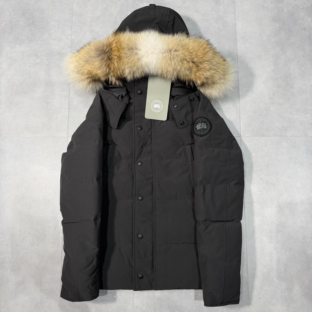 Wyndham Parka Carbon ( XS )